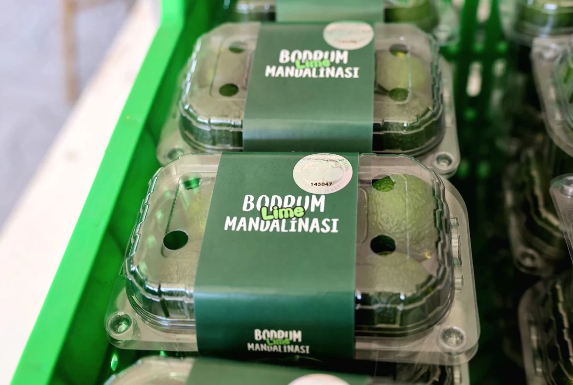 Yeşil Bodrum Mandalini Erken Hasatla Marketlerde