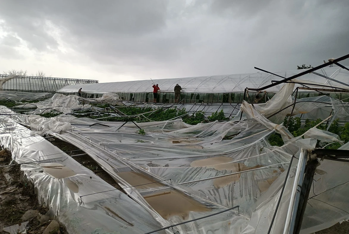 Dolu ve Fırtına Seraları Vurdu, Yetkililer Sahaya İndi