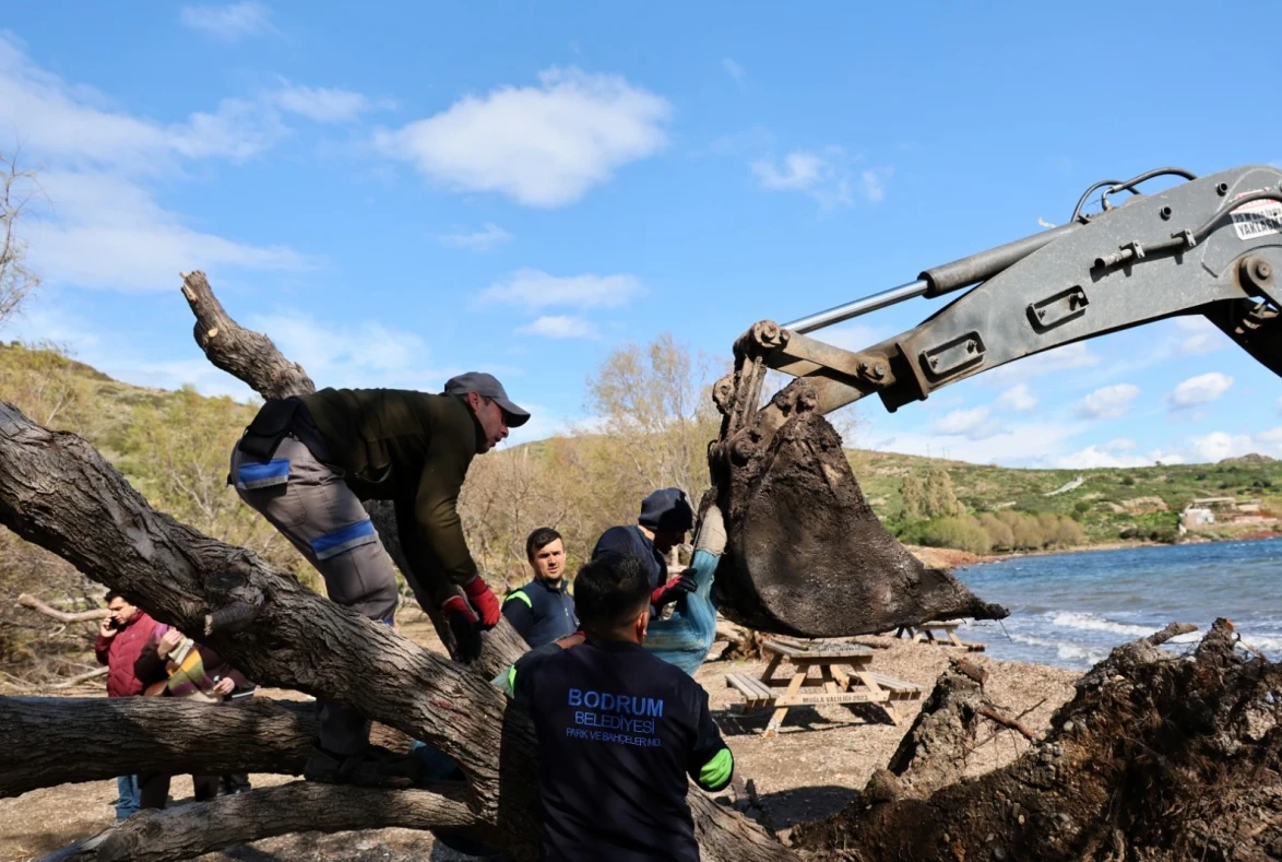 Fırtına Sonrası 176 Noktada Ağaçlara Müdahale Edildi