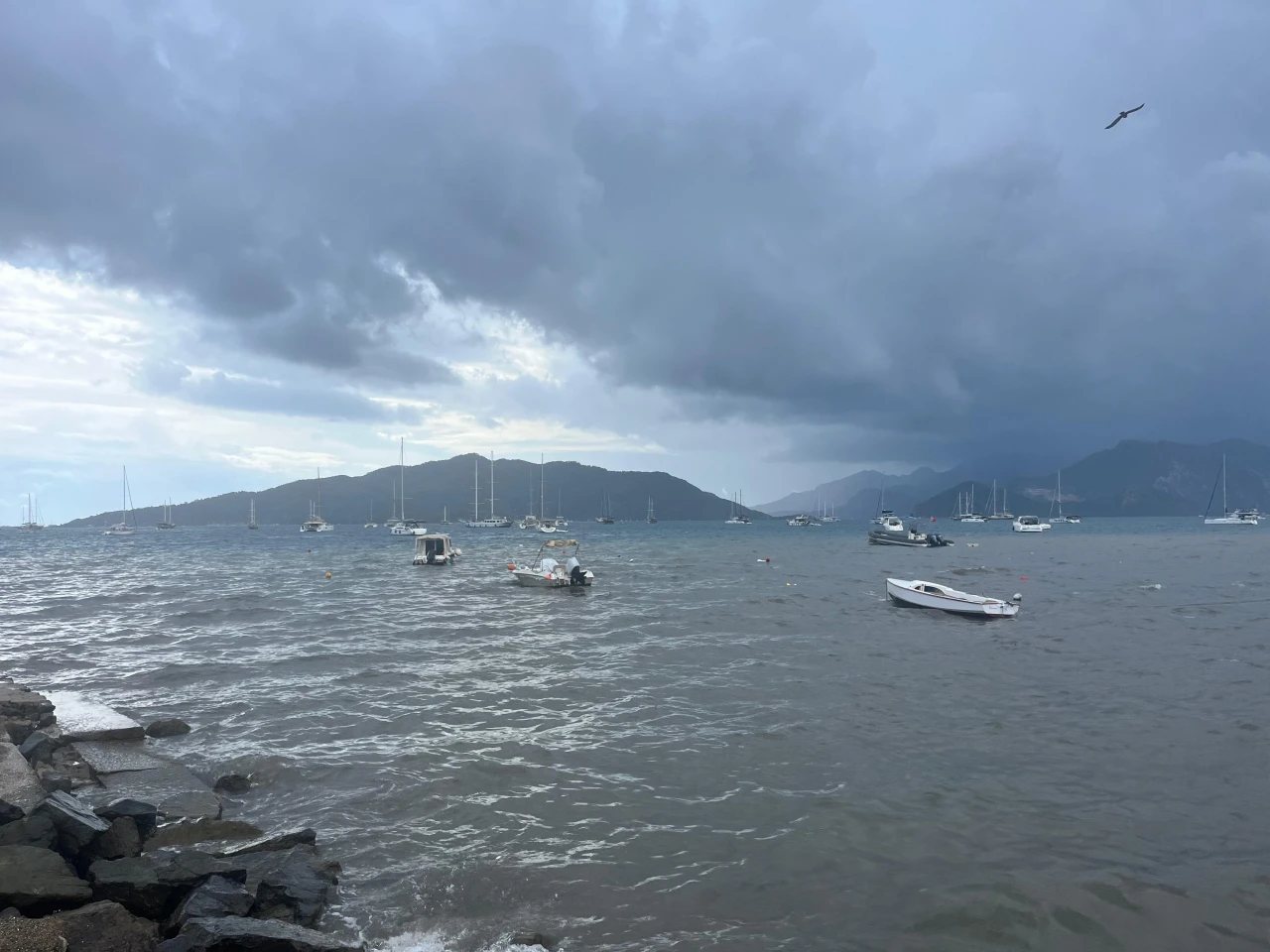 Marmaris’te denizin rengi kahverengiye döndü