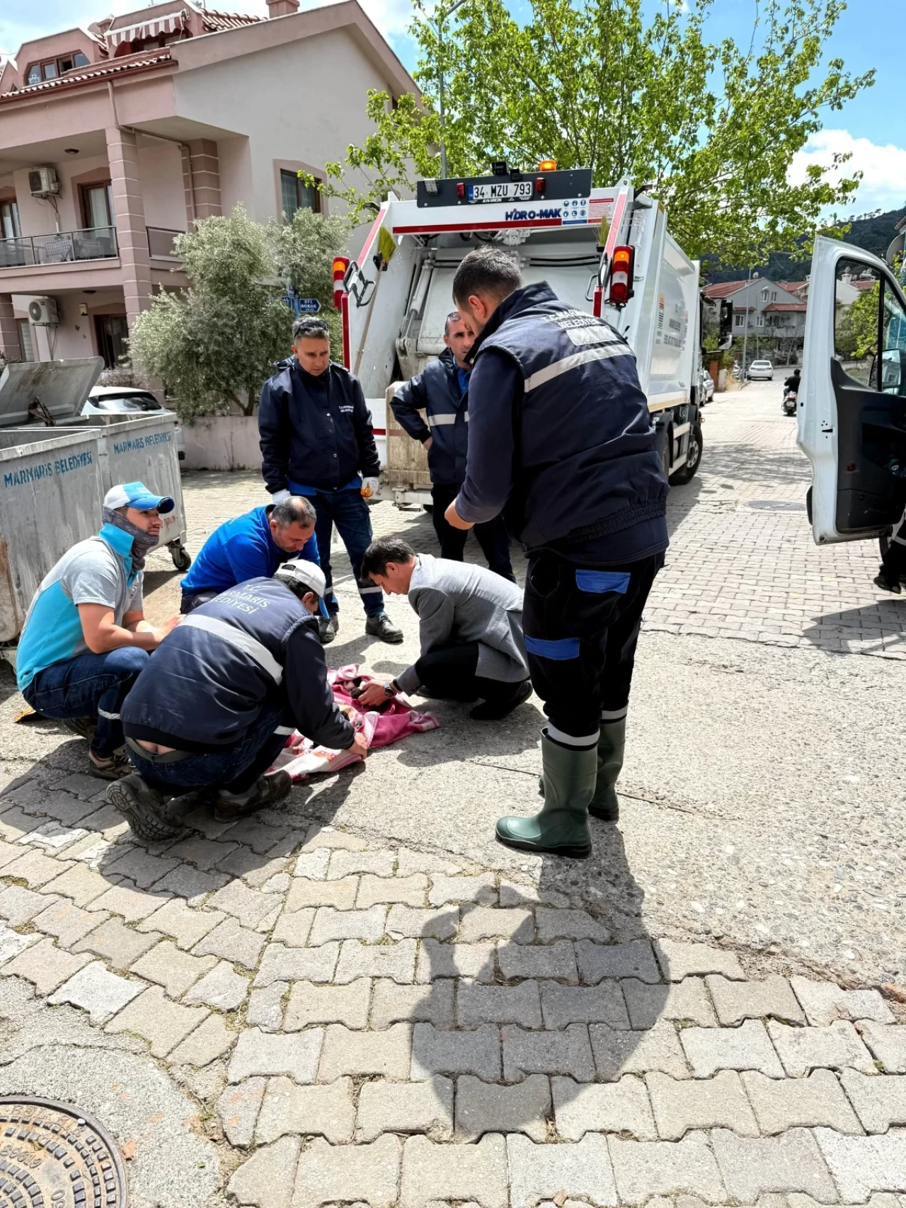 Marmaris’te Çöpe Atılan 6 Yavru Kedi Son Anda Kurtarıldı
