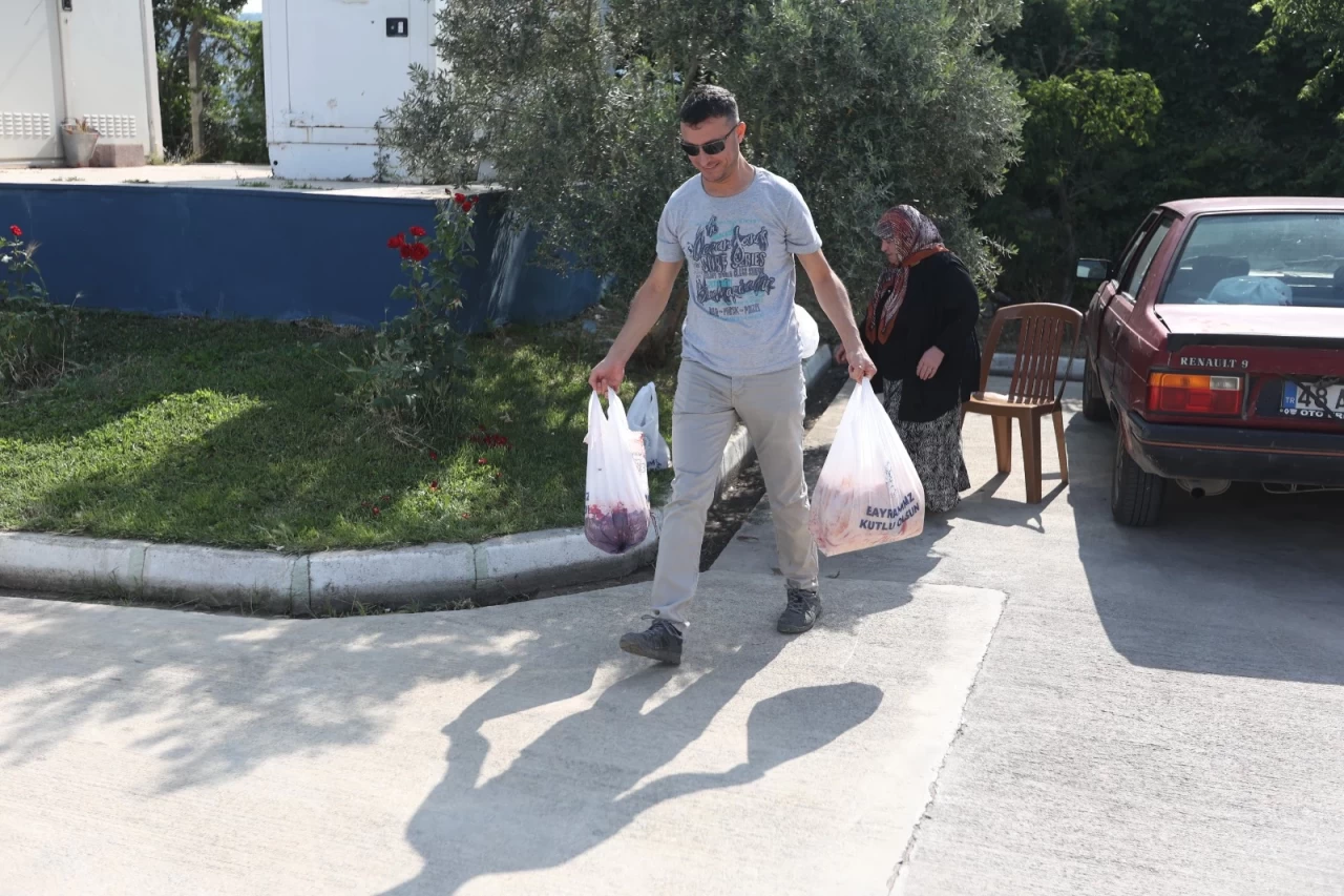 Muğla Büyükşehir Mezbahalarında Bayram Mesaisi: 1543 Kurban Kesimi Gerçekleşti