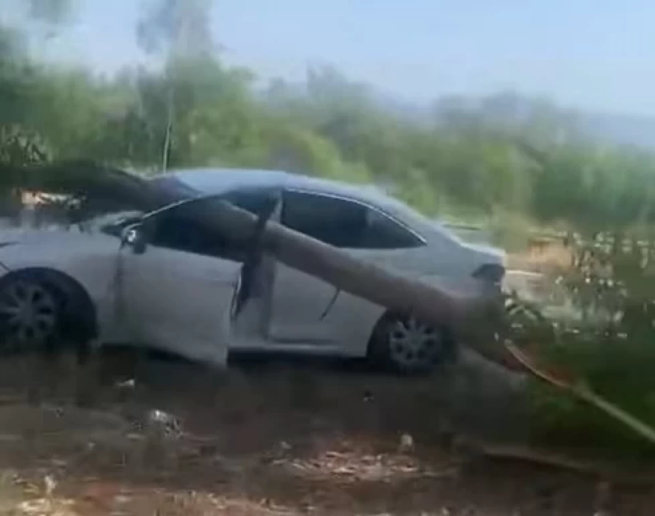 Gökova’da radar aracının üzerine ağaç devrildi
