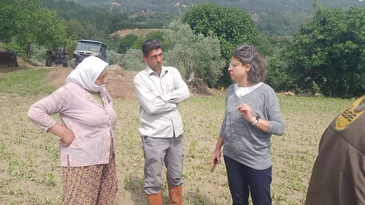 Esençay’da Dolu Felaketi: Büyükşehir’den Hızlı Müdahale!