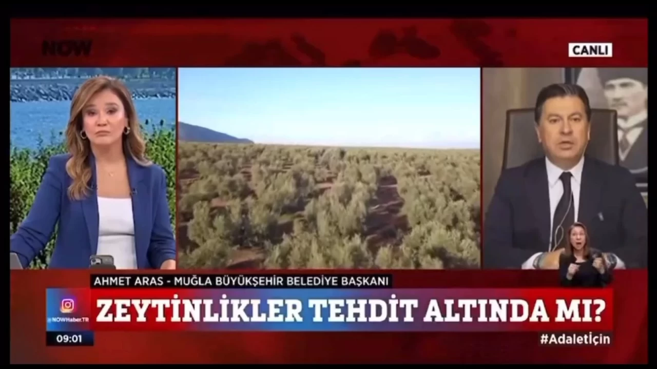 Başkan Aras’tan Zehir Zemberek Uyarı: “400 Bin Dönüm Zeytinlik Yok Olacak!”