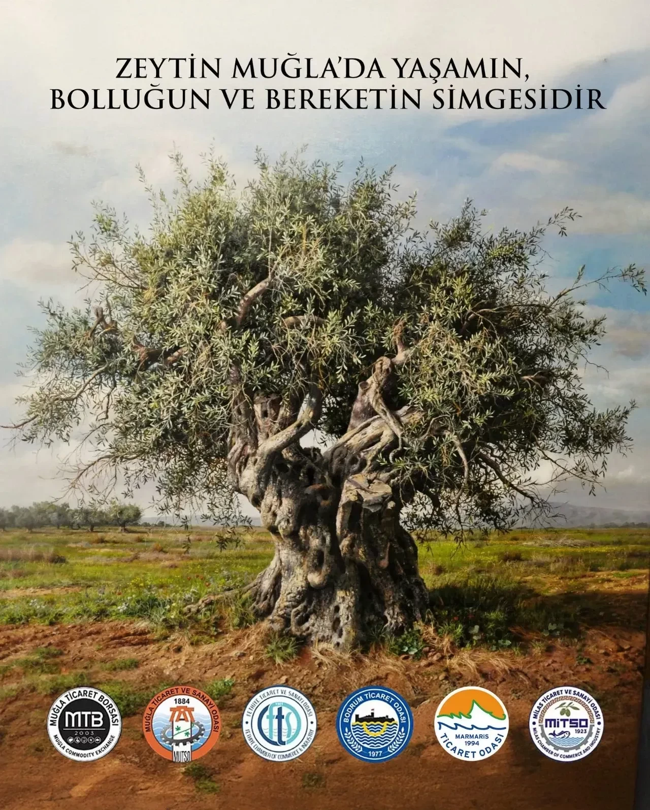 Muğla Odaları ve Borsasından Zeytin Açıklaması: “Zeytin Muğla’da Yaşamın, Bolluğun ve Bereketin Simgesidir”