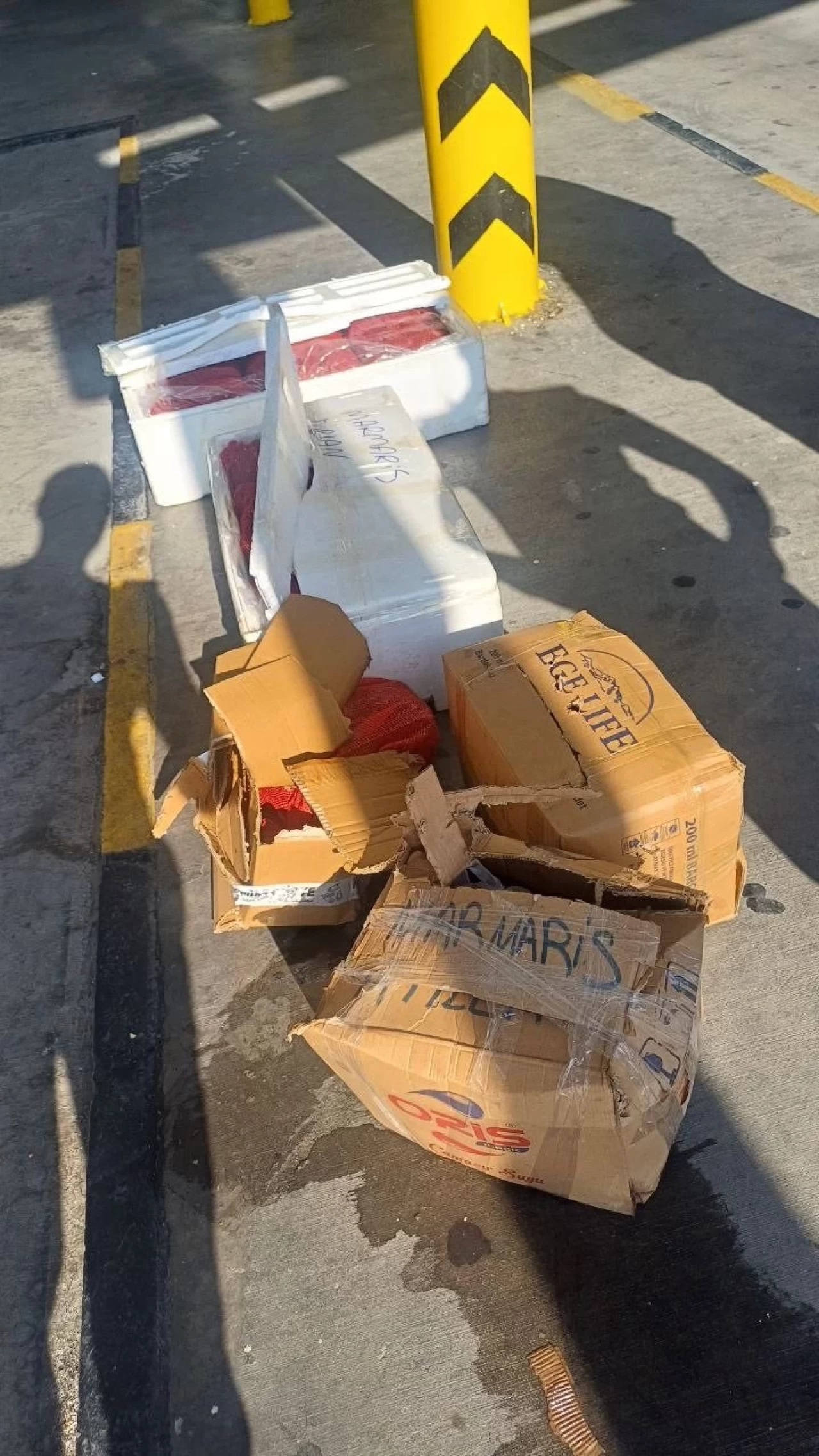 Terminalde Bırakılan 5 Koli Midye İmha Edildi