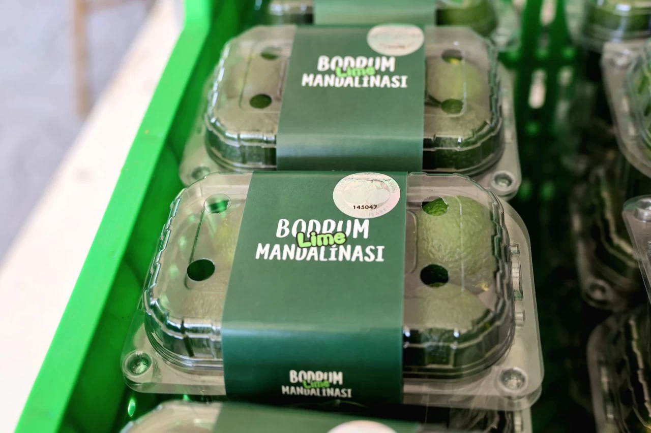 Yeşil Bodrum Mandalini Erken Hasatla Marketlerde