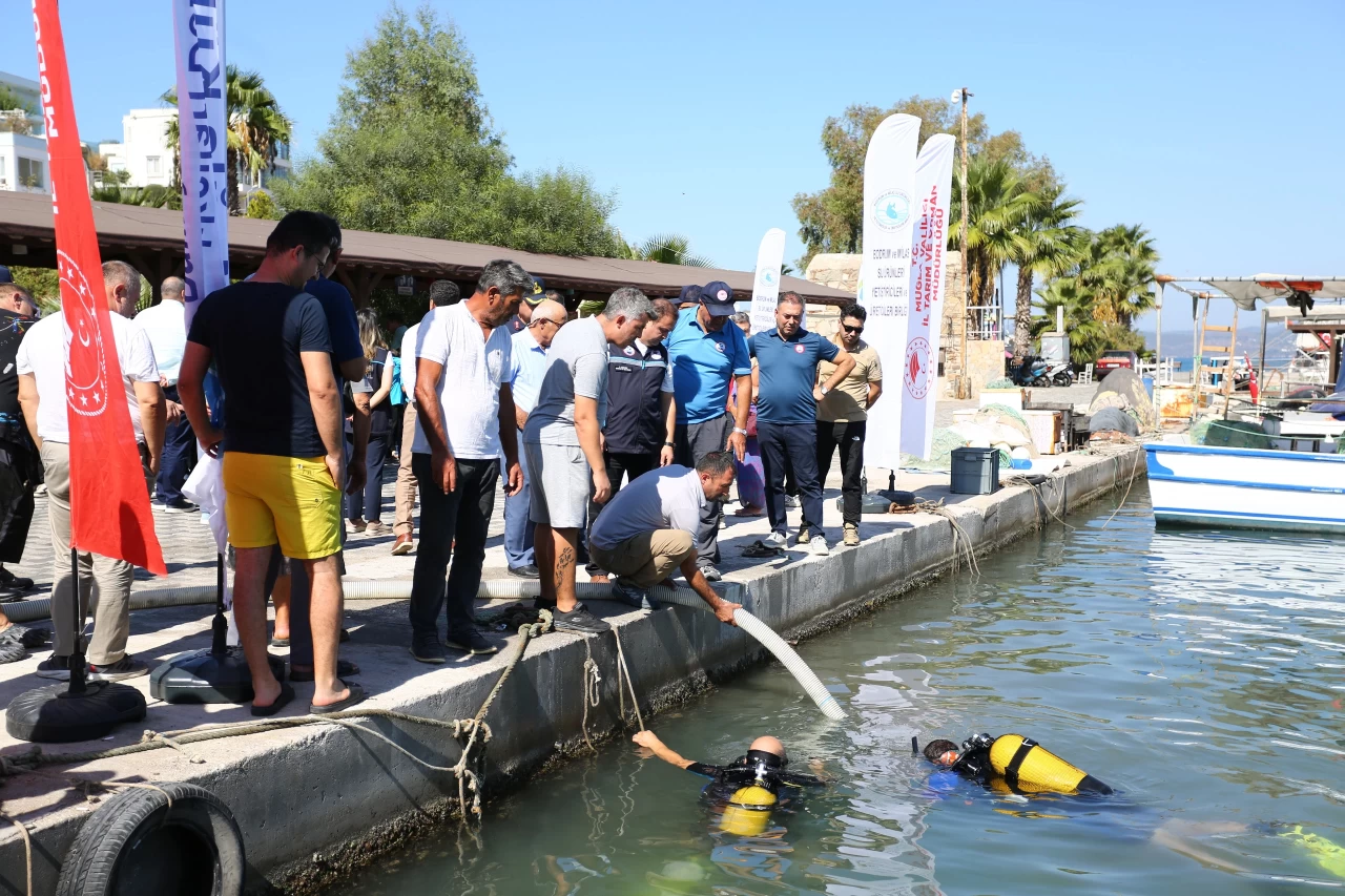 Boğaziçi’ne 160 Bin Balık Salındı