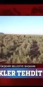 Başkan Aras’tan Zehir Zemberek Uyarı: “400 Bin Dönüm Zeytinlik Yok Olacak!”
