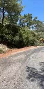 Marmaris’te Yangına 1000 Kilometrelik ‘Yeşil Koridor’ Kalkanı