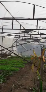 Marmaris’te Seralar Fırtınaya Dayanamadı: Hasar Büyük