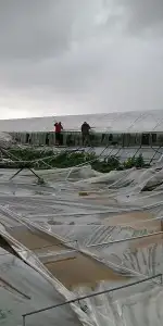 Dolu ve Fırtına Seraları Vurdu, Yetkililer Sahaya İndi