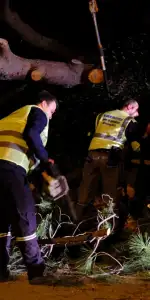 Fırtına Bodrum’u Vurdu: Devrilen Ağaçlar, Kopan Teller, Anında Müdahale