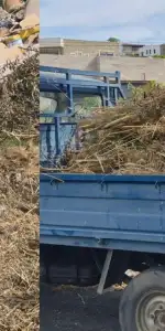 Temiz Bodrum İçin 3 Müdahale, 240 Bin TL Ceza