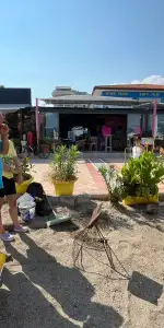 Peş Peşe İki Yuva! Marmaris'te 119 Caretta Yumurtası Bulundu