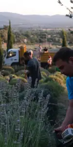 Karaova'da Gençler Toprağın Bereketiyle Buluşuyor