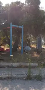 Bodrum'da Yaz Mesaisi: Ot Temizliği Aralıksız Devam Ediyor