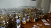 22 Milyon Yerel Tohum Toprakla Buluştu