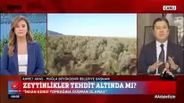 Başkan Aras’tan Maden Yasasına Sert Tepki: “Kömür Uğruna Muğla’daki Hayat Yok Edilemez”