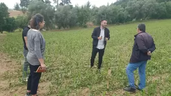 Esençay’da Zarar Gören Çiftçilere Muğla Büyükşehir'den Teknik Destek Başladı