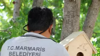 Yangın Sonrası Ekosisteme Can: Belediye Kuşlar İçin Yuva Üretiyor