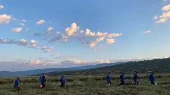 Muğla Büyükşehir’den Güllük’te 60 Hektar İlaçlama
