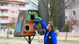 Muğla Üretiyor, Can Dostlar Doyuyor: 10 Milyon TL'lik Tasarruf ve 32 Ton Mama