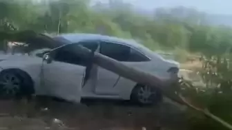 Gökova’da radar aracının üzerine ağaç devrildi