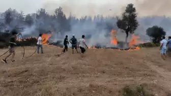 Büyükşehir İtfaiyesi Sayesinde 380 Yangın Büyümeden Kontrol Altına Alındı