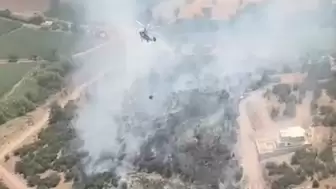 Milas Meşelik’te Ziraat Alanında Yangın! Ekipler Müdahale Ediyor