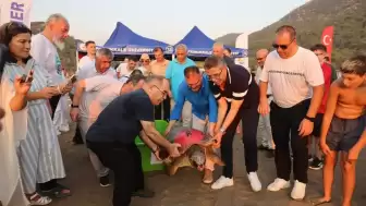 Tuba İkinci Kez Dünya Turuna Çıkıyor: Caretta Carettalar Denizle Buluştu