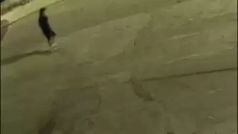 Başkan Gonca Köksal Aras’ın Ailesine Molotoflu Saldırı: İki Genç Gözaltında