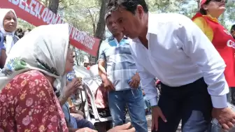 Akbelen’de zeytin direnişi! Başkan Aras'tan sert tepki: “Muğla’yı talan edenlere asla boyun eğmeyeceğiz”