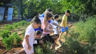 Muğla’da Minik Eller İlk Hasatla Buluştu