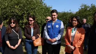 Tarımda Verim İçin Eğitim: Bodrum’da Üreticiler Sahada Öğrendi