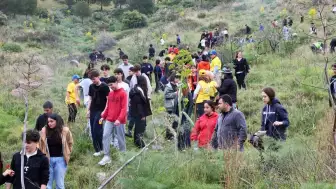 Birlik Oldular, Yeşerttiler! Bodrum’da Anlamlı Fidan Dikimi