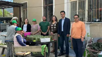 Datça’nın Yeşil Altını Kavanozda: Kadınlar Katma Değer Yaratıyor