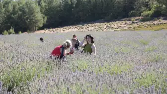 Koku Vadisi’nde Lavanta Hasadı Şenlikle Başladı