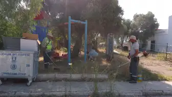 Bodrum'da Yaz Mesaisi: Ot Temizliği Aralıksız Devam Ediyor