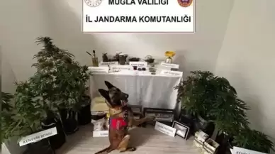 Evini uyuşturucu imalathanesine çeviren şüpheli tutuklandı