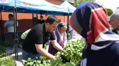 Dalaman’da 18 Bin Fide Ücretsiz Dağıtıldı