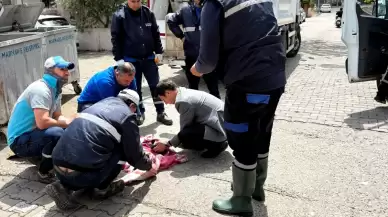 Marmaris’te Çöpe Atılan 6 Yavru Kedi Son Anda Kurtarıldı