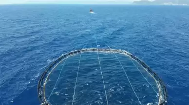 Karasularda Orkinos Denetimi: 2.666 Balıkta Yasal Sorun Bulunmadı
