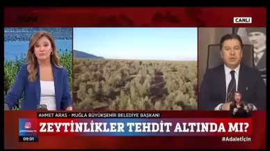 Başkan Aras’tan Zehir Zemberek Uyarı: “400 Bin Dönüm Zeytinlik Yok Olacak!”