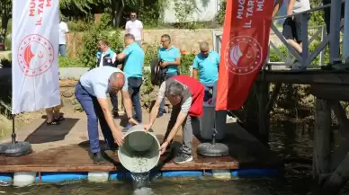 Su Kaynaklarına Can Geldi: Muğla’da 205 Bin Sazan Salındı