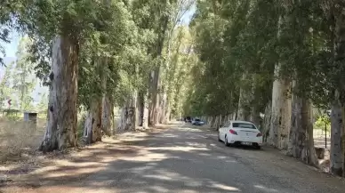 Aşıklar Yolu’nda Büyük Dönüşüm Başlıyor