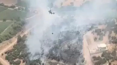 Milas Meşelik’te Ziraat Alanında Yangın! Ekipler Müdahale Ediyor