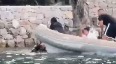 Arda Deniz Onat Hayatını Kaybetmişti! Tekne Faciasında Şüphelinin Şok İfadesi Ortaya Çıktı