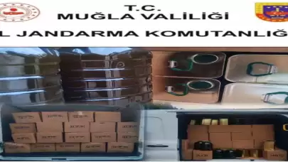 Muğla’da sahte zeytinyağı operasyonu